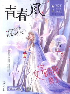 青春风杂志